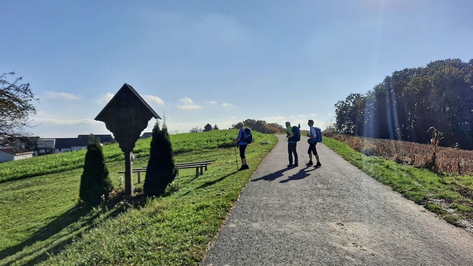 Wanderung Rundwanderung Eichkögl und Fladnitzberg - Touren-Impression #2.10 | © Thermen- & Vulkanland