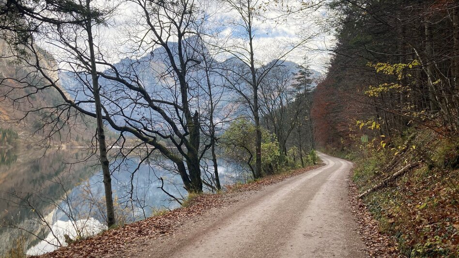 Mountainbike Eisenerzer Ramsau LN 11 - Touren-Impression #2.6 | © Tourismusverband ERZBERG LEOBEN