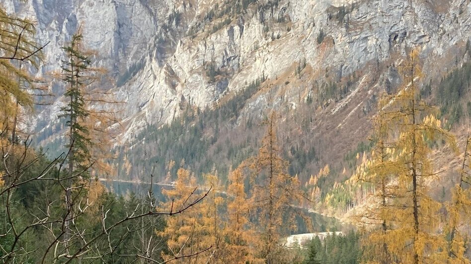 Mountainbike Eisenerzer Ramsau LN 11 - Touren-Impression #2.8 | © Tourismusverband ERZBERG LEOBEN