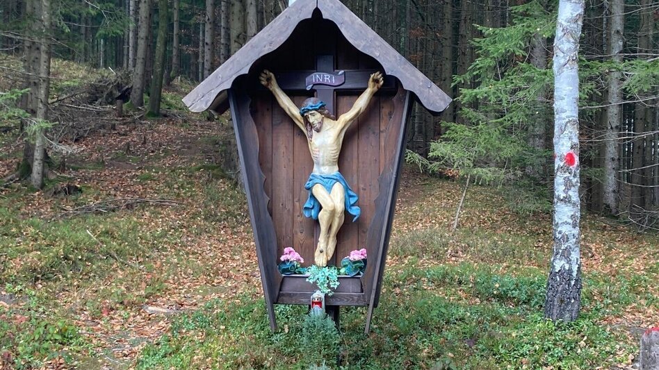 Mountainbike Eisenerzer Ramsau LN 11 - Touren-Impression #2.9 | © Tourismusverband ERZBERG LEOBEN