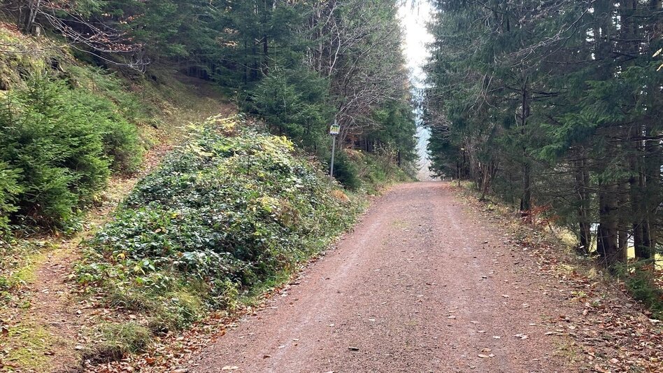 Mountainbike Eisenerzer Ramsau LN 11 - Touren-Impression #2.11 | © Tourismusverband ERZBERG LEOBEN