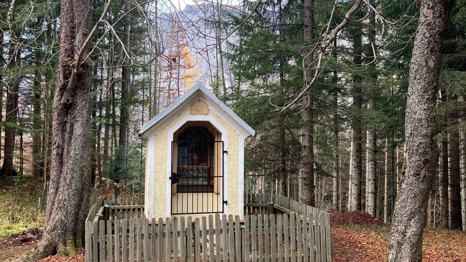 Mountainbike Eisenerzer Ramsau LN 11 - Touren-Impression #2.12 | © Tourismusverband ERZBERG LEOBEN