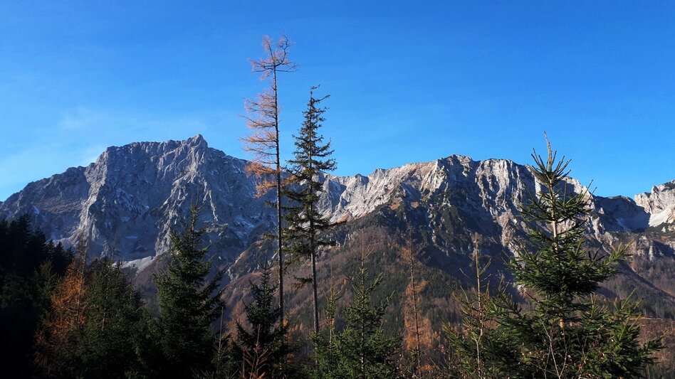 Mountainbike MTB Panorama LN 13 - Touren-Impression #2.4 | © Tourismusverband ERZBERG LEOBEN