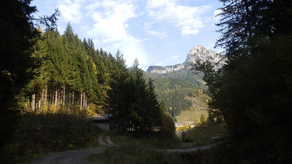 Mountainbike MTB Panorama LN 13 - Touren-Impression #2.1 | © Tourismusverband ERZBERG LEOBEN