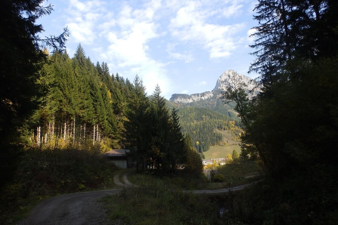 Mountainbike MTB Panorama LN 13 - Touren-Impression #1 | © Tourismusverband ERZBERG LEOBEN