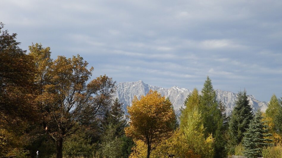 Mountainbike MTB Panorama LN 13 - Touren-Impression #2.7 | © Tourismusverband ERZBERG LEOBEN