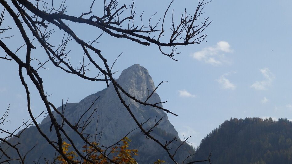 Mountainbike MTB Panorama LN 13 - Touren-Impression #2.8 | © Tourismusverband ERZBERG LEOBEN