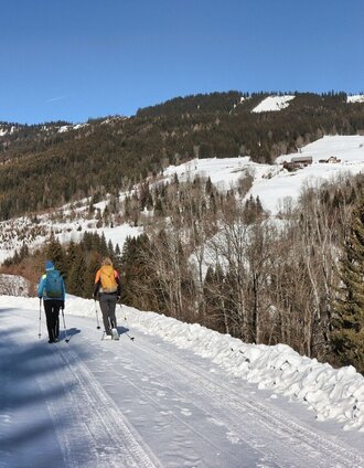 Ausblick auf die Almflächen der Melling | Weges OG | © Weges OG