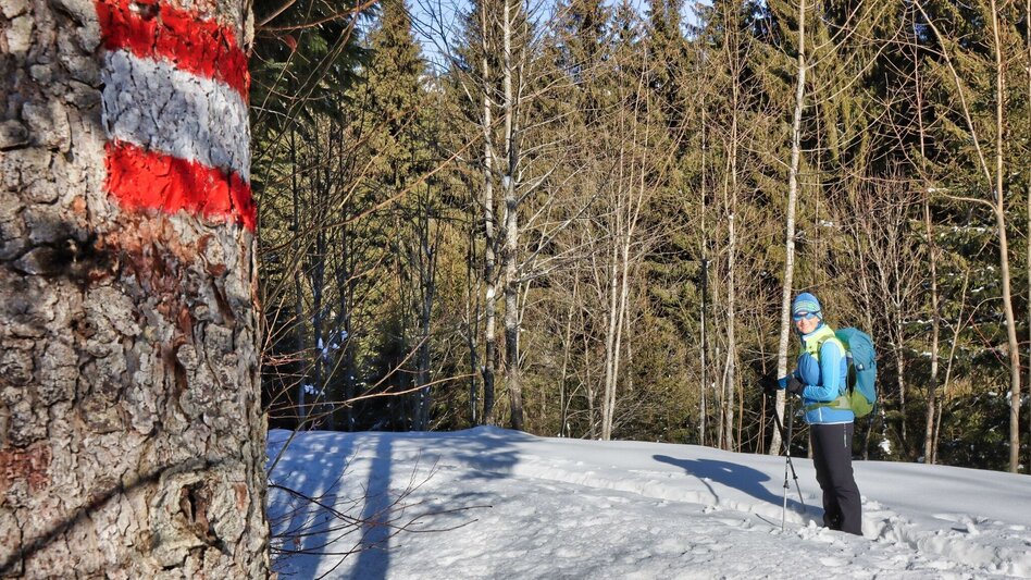 Winter Hiking From Kalwang to Wald am Schoberpaß with the Liesingtal in view - Touren-Impression #2.2 | © Weges OG