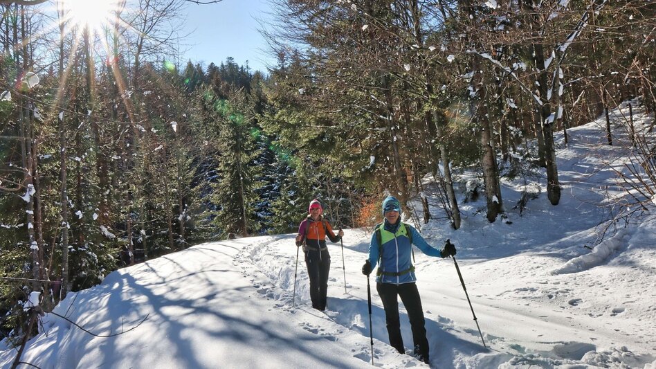 Winter Hiking From Kalwang to Wald am Schoberpaß with the Liesingtal in view - Touren-Impression #2.9 | © Weges OG