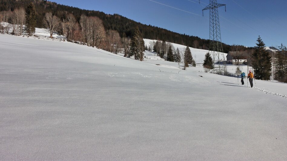Winter Hiking From Kalwang to Wald am Schoberpaß with the Liesingtal in view - Touren-Impression #2.10 | © Weges OG