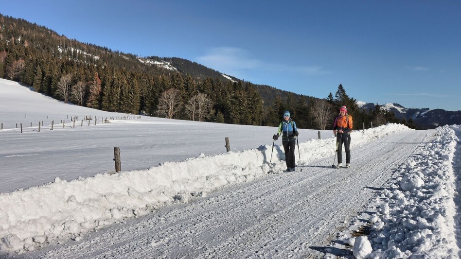Winter Hiking From Kalwang to Wald am Schoberpaß with the Liesingtal in view - Touren-Impression #2.13 | © Weges OG