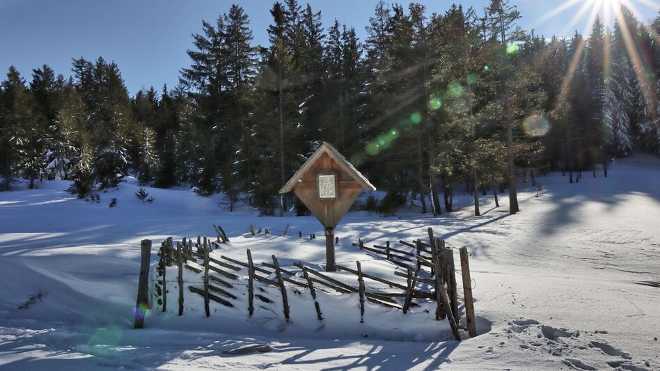Winter Hiking From Kalwang to Wald am Schoberpaß with the Liesingtal in view - Touren-Impression #2.14 | © Weges OG