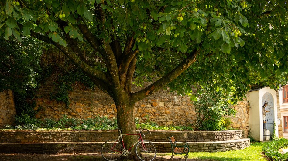 Stadtrundgang Romanischer Stadtrundgang Hartberg - Touren-Impression #2.2 | © Oststeiermark Tourismus