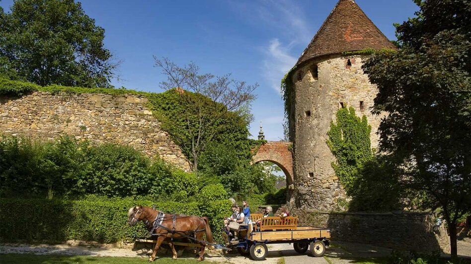 Stadtrundgang Romanischer Stadtrundgang Hartberg - Touren-Impression #2.3 | © Oststeiermark Tourismus