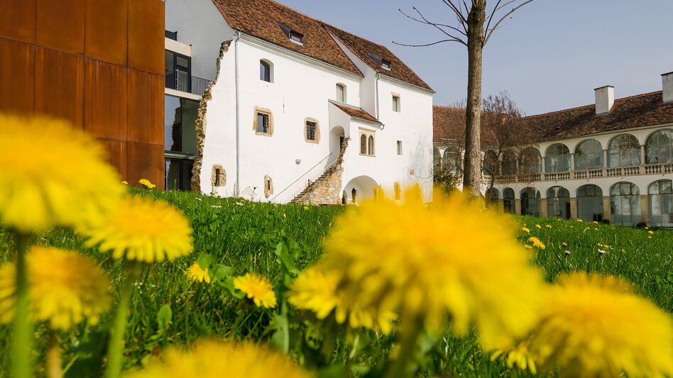 Stadtrundgang Romanischer Stadtrundgang Hartberg - Touren-Impression #2.6 | © Oststeiermark Tourismus