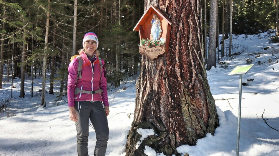 Winterwandern Kammern entlang des Marterlweges Nr. 2 kennenlernen - Touren-Impression #2.6 | © Weges OG