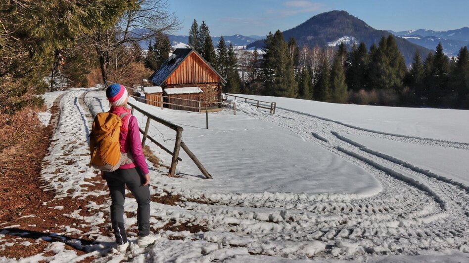 Winterwandern Kammern entlang des Marterlweges Nr. 2 kennenlernen - Touren-Impression #2.7 | © Weges OG