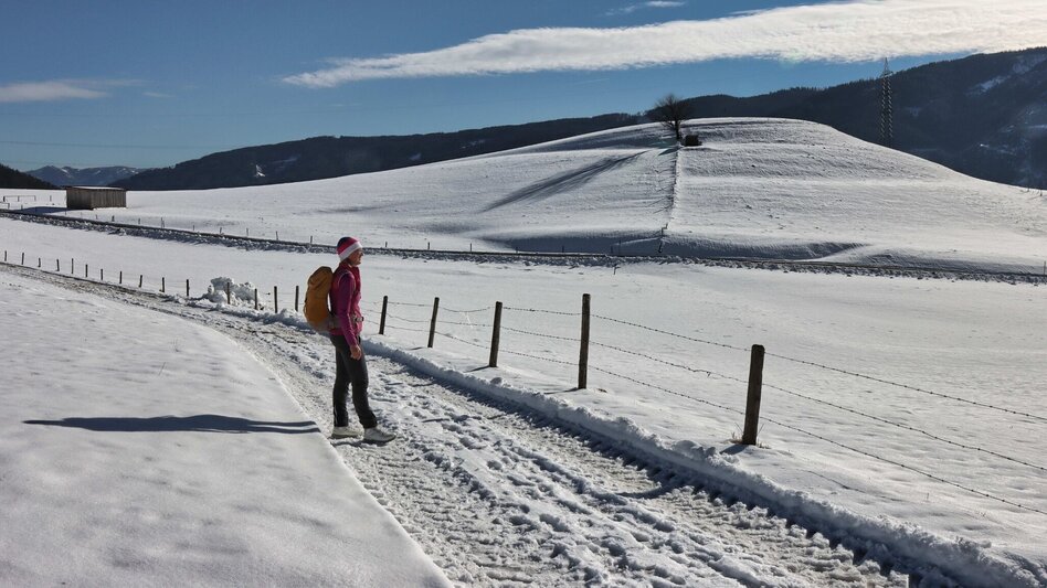 Winterwandern Kammern entlang des Marterlweges Nr. 2 kennenlernen - Touren-Impression #2.8 | © Weges OG