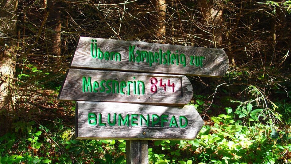 Hiking route Kamplsteig at Grüner See - Touren-Impression #2.3 | © FVV  Tragöß - St. Katharein