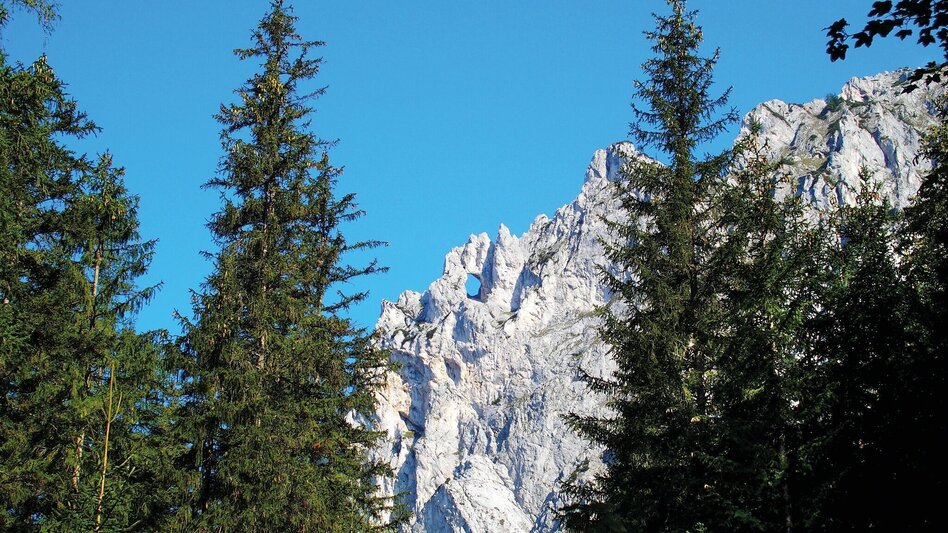 Hiking route Kamplsteig at Grüner See - Touren-Impression #2.4 | © FVV  Tragöß - St. Katharein