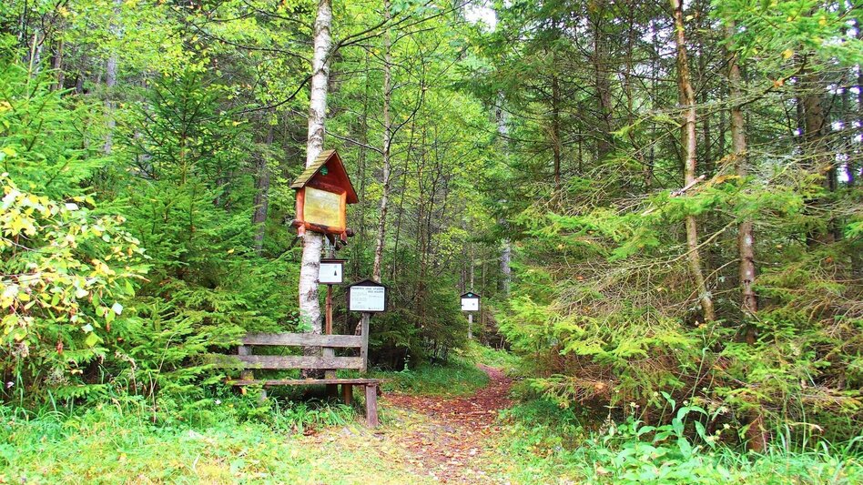 Hiking route Kamplsteig at Grüner See - Touren-Impression #2.5 | © FVV  Tragöß - St. Katharein