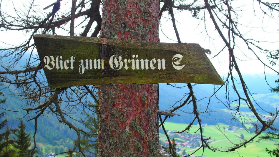 Hiking route Kamplsteig at Grüner See - Touren-Impression #2.7 | © FVV  Tragöß - St. Katharein