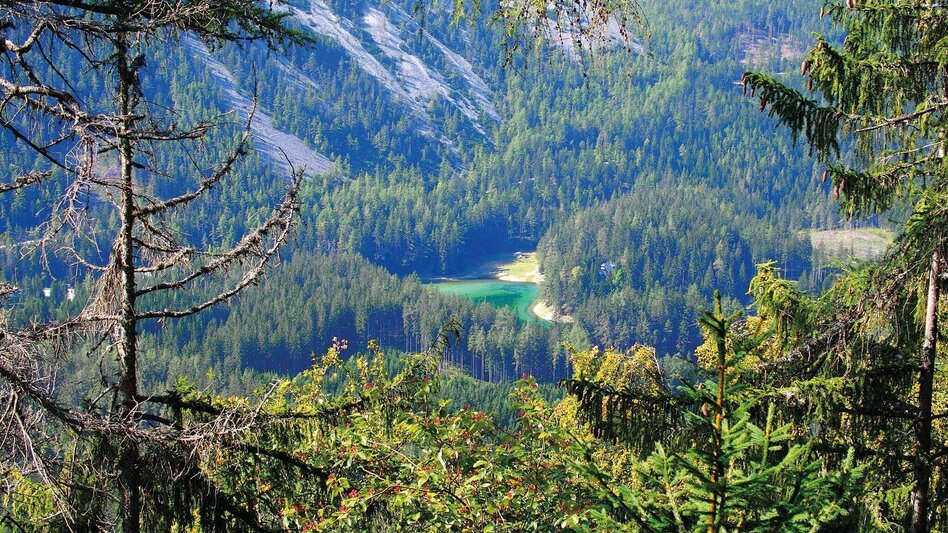 Hiking route Kamplsteig at Grüner See - Touren-Impression #2.8 | © FVV  Tragöß - St. Katharein