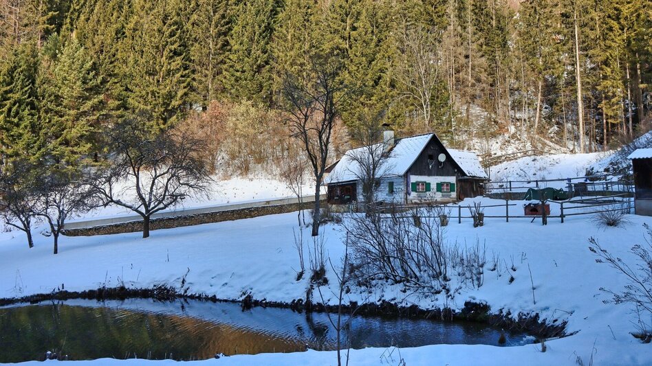 Winter Hiking Tollingrunde in der Region Erzberg-Leoben - Touren-Impression #2.2 | © Weges OG