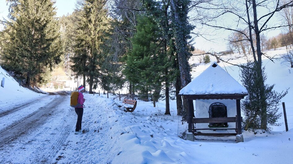 Winter Hiking Tollingrunde in der Region Erzberg-Leoben - Touren-Impression #2.3 | © Weges OG