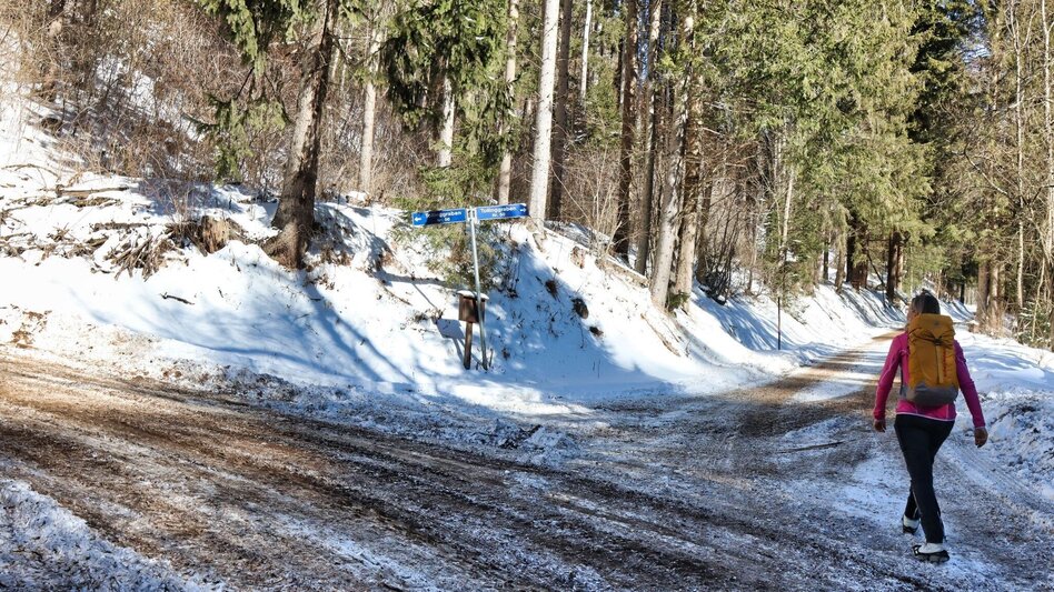 Winter Hiking Tollingrunde in der Region Erzberg-Leoben - Touren-Impression #2.4 | © Weges OG