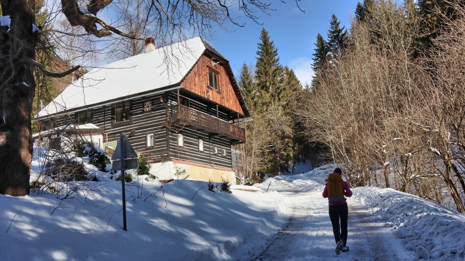 Winter Hiking Tollingrunde in der Region Erzberg-Leoben - Touren-Impression #2.5 | © Weges OG