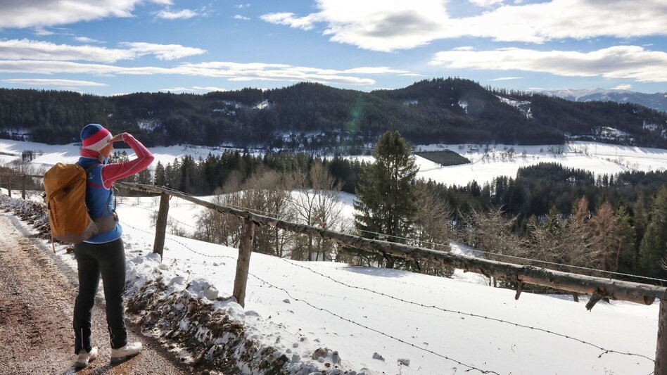 Winter Hiking Tollingrunde in der Region Erzberg-Leoben - Touren-Impression #2.6 | © Weges OG
