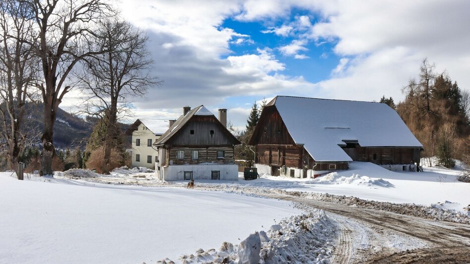 Winter Hiking Tollingrunde in der Region Erzberg-Leoben - Touren-Impression #2.7 | © Weges OG