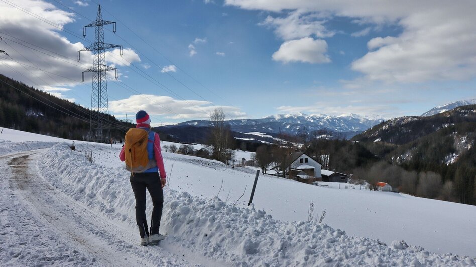 Winter Hiking Tollingrunde in der Region Erzberg-Leoben - Touren-Impression #2.10 | © Weges OG