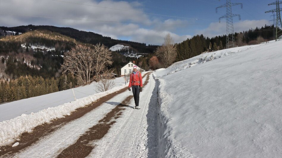 Winter Hiking Tollingrunde in der Region Erzberg-Leoben - Touren-Impression #2.14 | © Weges OG