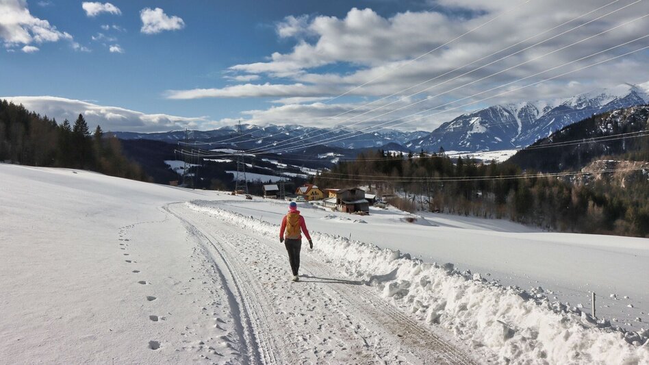 Winter Hiking Tollingrunde in der Region Erzberg-Leoben - Touren-Impression #2.16 | © Weges OG