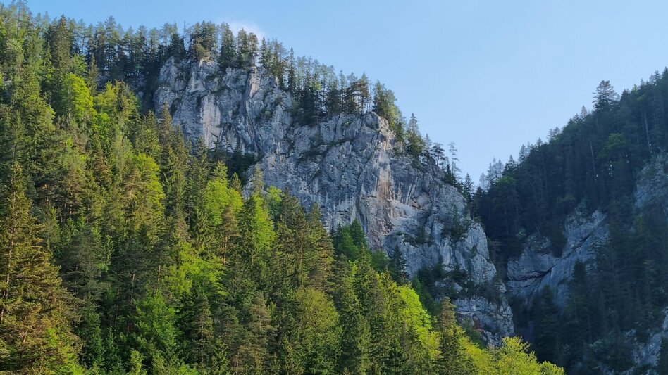 Via Ferrata Falkenstein - via ferrata in the Mürzer Oberland Nature Park - Touren-Impression #2.2 | © TV Hochsteiermark