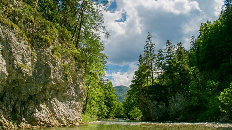 Via Ferrata Falkenstein - via ferrata in the Mürzer Oberland Nature Park - Touren-Impression #2.9 | © Naturpark Mürzer Oberland