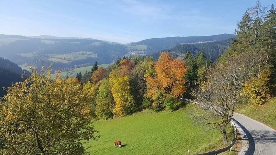 Wanderung KERN-BUAM Panorama-Wanderweg - Touren-Impression #2.2 | © Region Graz