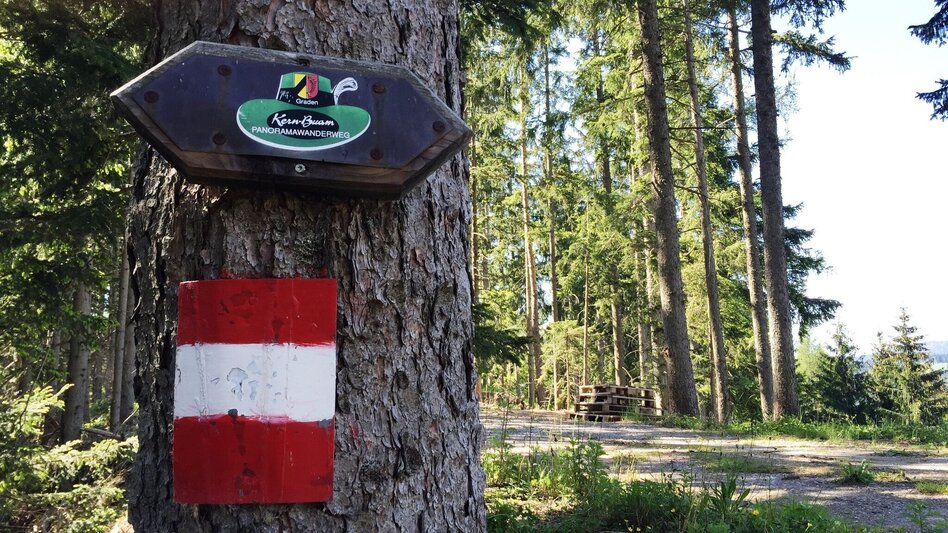 Wanderung KERN-BUAM Panorama-Wanderweg - Touren-Impression #2.8 | © Region Graz