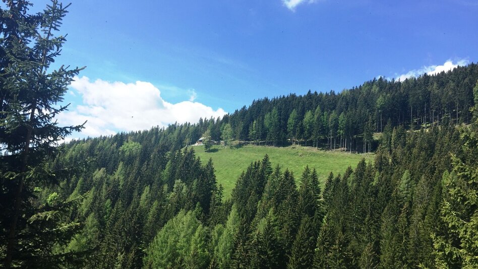 Wanderung KERN-BUAM Panorama-Wanderweg - Touren-Impression #2.10 | © Region Graz