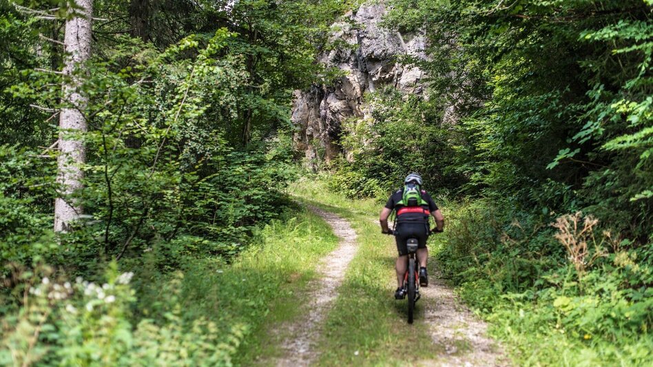 Mountain Biking MTB - Tour - Tobiasalm - Touren-Impression #2.1 | © Erlebnisregion Murtal