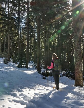 Wanderung zum Teufelstein mit Schneeschuhen | © WEGES