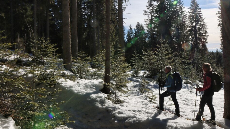 Schneeschuh Schneeschuhwanderung am Teufelstein, Fischbach - Touren-Impression #2.3 | © WEGES