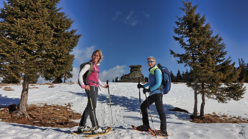 Schneeschuh Schneeschuhwanderung am Teufelstein, Fischbach - Touren-Impression #2.7 | © WEGES