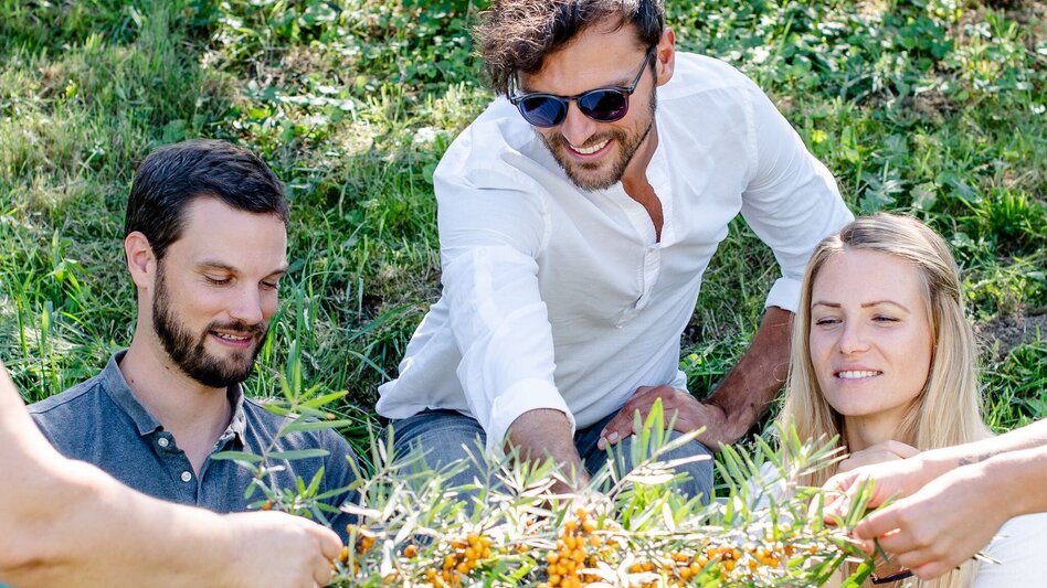 Panoramatouren/Themenstraßen Vulkanland Route 66 - Touren-Impression #2.12 | © Steirisches Vulkanland