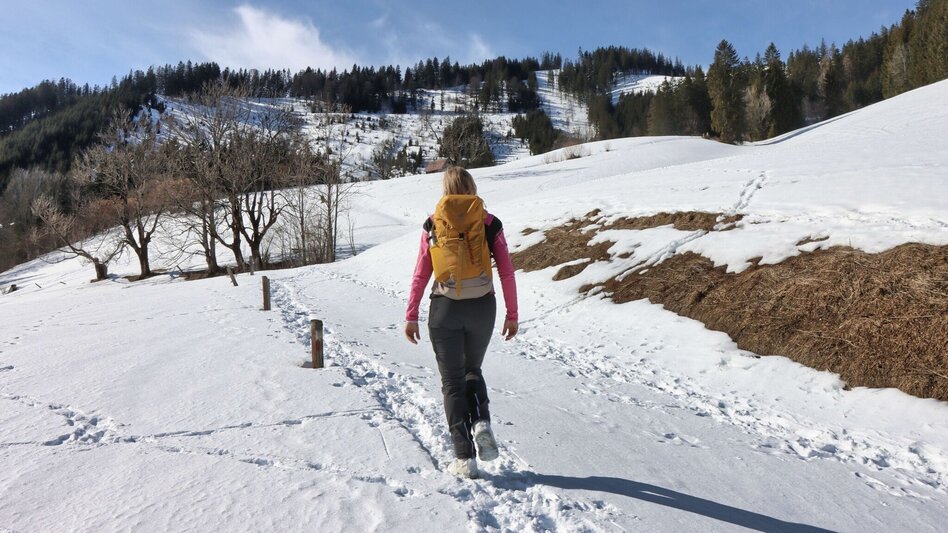 Winter Hiking Winter hike Eisenerz - the Erzberg in view - Touren-Impression #2.6 | © Weges OG
