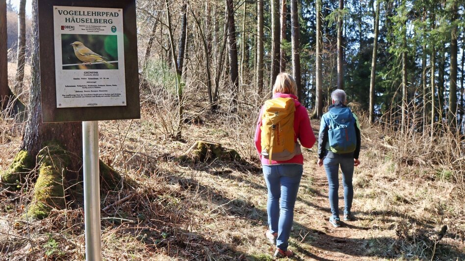 Wanderung Blütenwanderung am Häuselberg - Die Gokoloanzen blüht - Touren-Impression #2.2 | © Weges OG