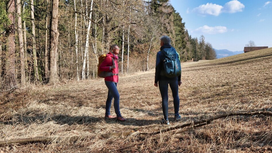 Wanderung Blütenwanderung am Häuselberg - Die Gokoloanzen blüht - Touren-Impression #2.3 | © Weges OG